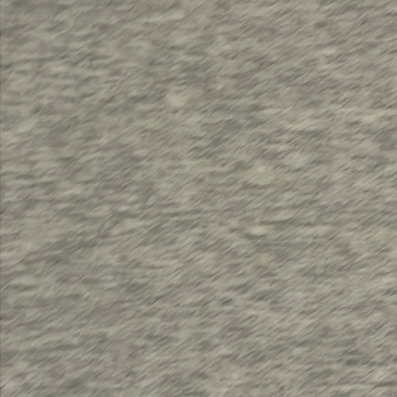 Everlane Sweatshirt - Picture 3 of 8